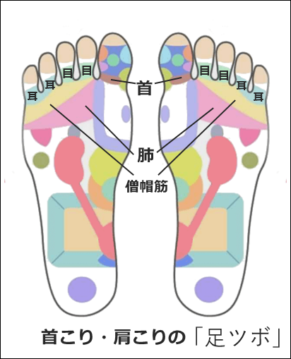 首こり・肩こりの足ツボ