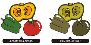 色覚異常のイラスト
