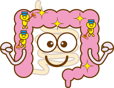 腸をキレイにするイラスト