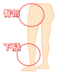 臀部と下腿