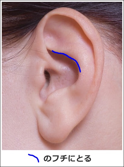 耳ツボ腎2