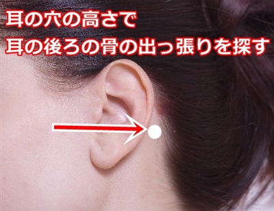 耳の後ろの骨との位置関係