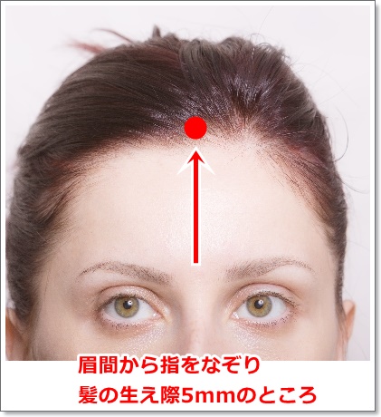 神庭の位置
