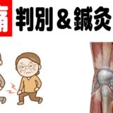 膝痛 判別＆鍼灸治療