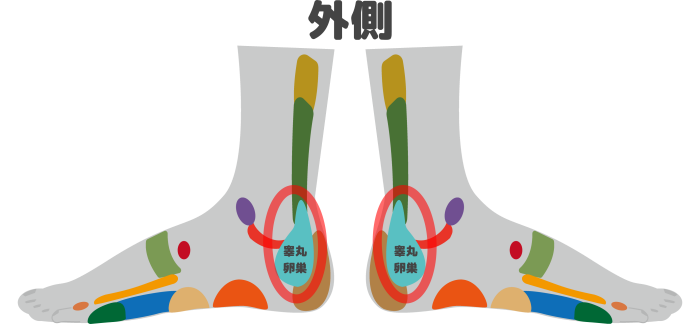 足つぼ 睾丸 卵巣