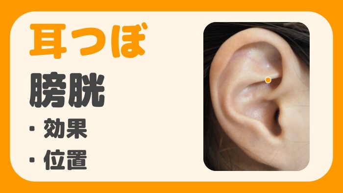耳つぼ 膀胱