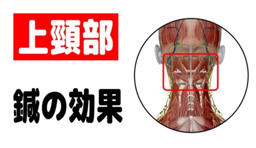 上頸部の鍼の効果（内科系疾患）