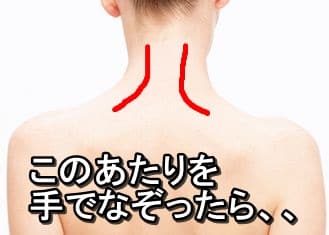 首こり・肩こりの治療ポイントは肩甲挙筋がほとんど