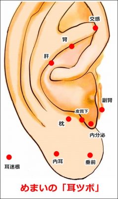 図解 めまいを改善する耳ツボを画像で紹介 鍼灸師監修